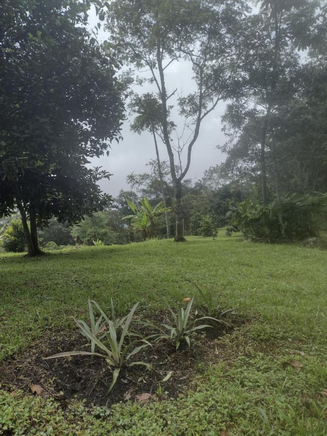 Finca Exclusividad Familiar O Grupo De Amigos Capacidad Hasta 12 Personas Calles En Placa Huella, Caminata Ecologica Alban  Exterior foto