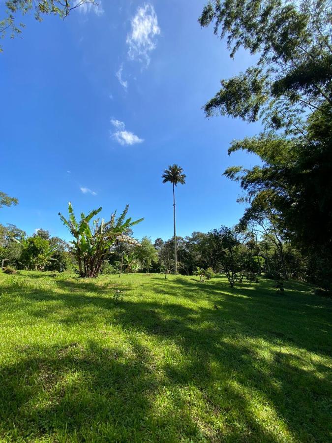 Finca Exclusividad Familiar O Grupo De Amigos Capacidad Hasta 12 Personas Calles En Placa Huella, Caminata Ecologica Alban  Exterior foto