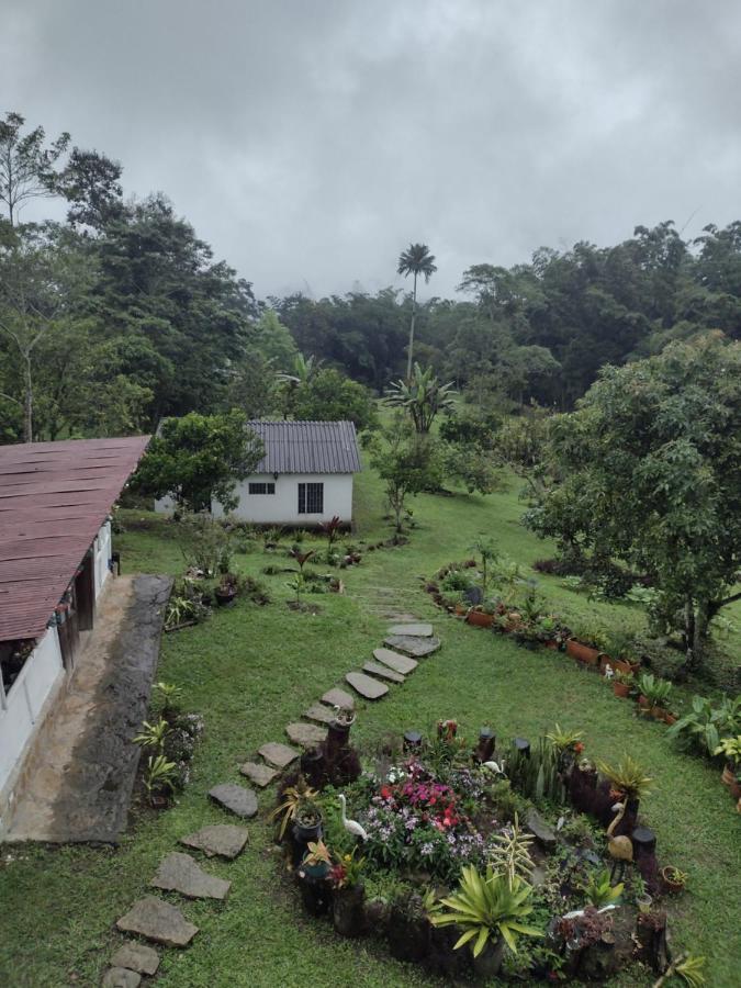 Finca Exclusividad Familiar O Grupo De Amigos Capacidad Hasta 12 Personas Calles En Placa Huella, Caminata Ecologica Alban  Exterior foto